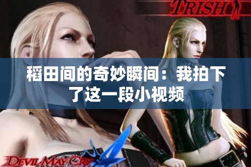 稻田間的奇妙瞬間：我拍下了這一段小視頻