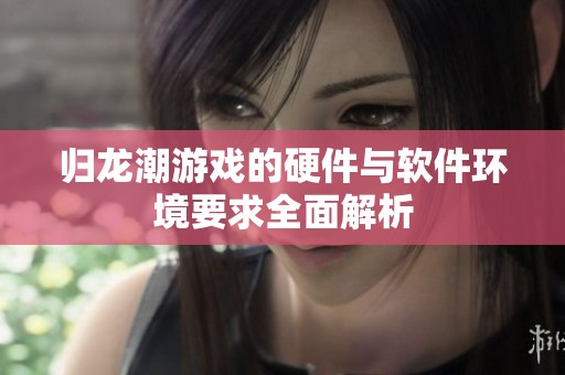 歸龍潮游戲的硬件與軟件環境要求全面解析