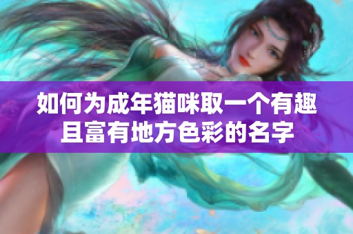 如何為成年貓咪取一個有趣且富有地方色彩的名字