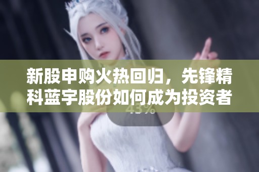 新股申購火熱回歸，先鋒精科藍宇股份如何成為投資者新寵