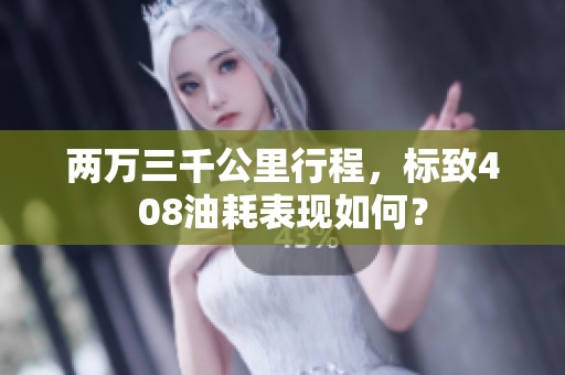 兩萬三千公里行程，標致408油耗表現(xiàn)如何？