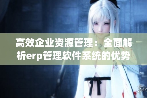 高效企業(yè)資源管理：全面解析erp管理軟件系統(tǒng)的優(yōu)勢與應(yīng)用