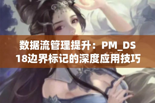 數據流管理提升：PM_DS18邊界標記的深度應用技巧解析