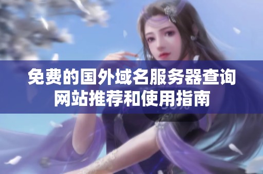 免費的國外域名服務器查詢網(wǎng)站推薦和使用指南