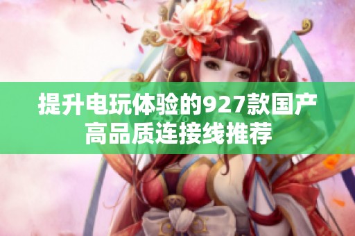 提升電玩體驗的927款國產高品質連接線推薦