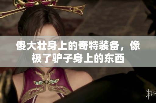 傻大壯身上的奇特裝備，像極了驢子身上的東西