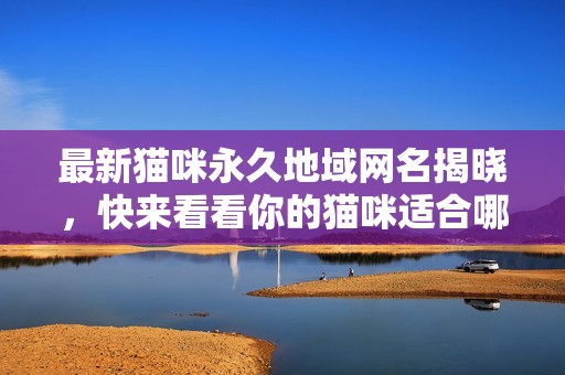 最新貓咪永久地域網名揭曉，快來看看你的貓咪適合哪個名字
