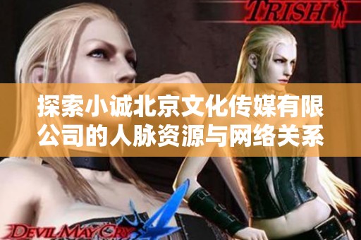 探索小誠北京文化傳媒有限公司的人脈資源與網絡關系分析