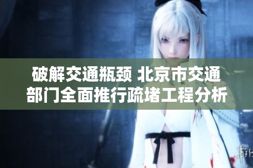 破解交通瓶頸 北京市交通部門全面推行疏堵工程分析