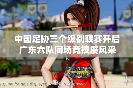 中國足協三個級別聯賽開啟 廣東六隊同場競技展風采