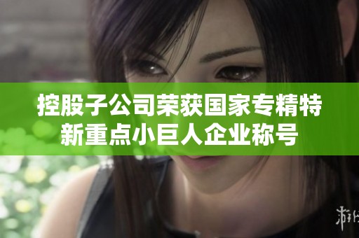 控股子公司榮獲國家專精特新重點小巨人企業稱號