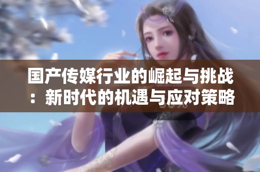 國產(chǎn)傳媒行業(yè)的崛起與挑戰(zhàn)：新時(shí)代的機(jī)遇與應(yīng)對策略