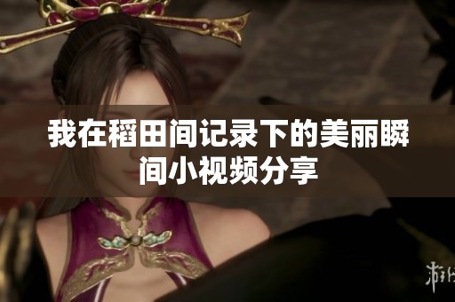 我在稻田間記錄下的美麗瞬間小視頻分享