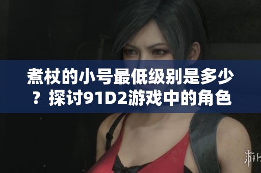 煮杖的小號最低級別是多少？探討91D2游戲中的角色成長