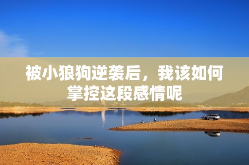 被小狼狗逆襲后，我該如何掌控這段感情呢