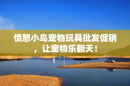 憤怒小鳥寵物玩具批發(fā)促銷，讓寵物樂(lè)翻天！