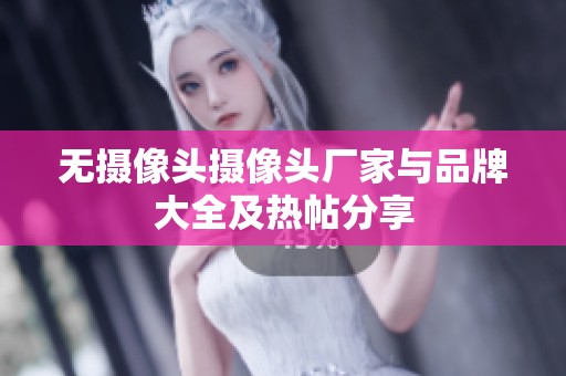 無攝像頭攝像頭廠家與品牌大全及熱帖分享