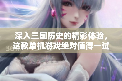 深入三國歷史的精彩體驗，這款單機游戲絕對值得一試