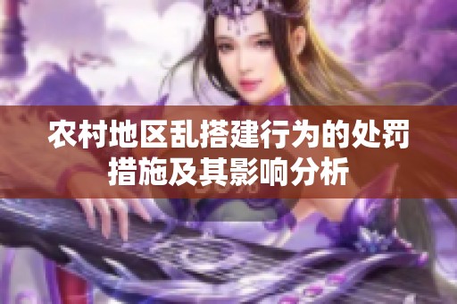 農村地區亂搭建行為的處罰措施及其影響分析