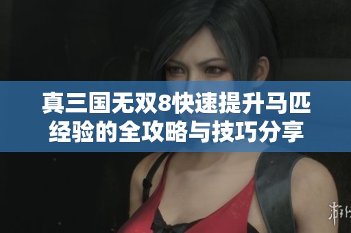 真三國無雙8快速提升馬匹經驗的全攻略與技巧分享