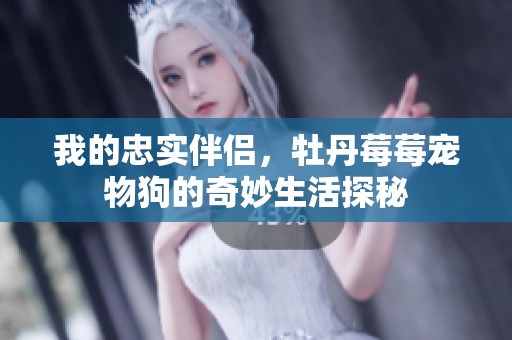 我的忠實伴侶，牡丹莓莓寵物狗的奇妙生活探秘
