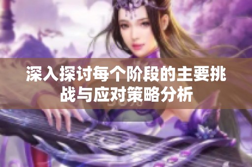 深入探討每個階段的主要挑戰與應對策略分析