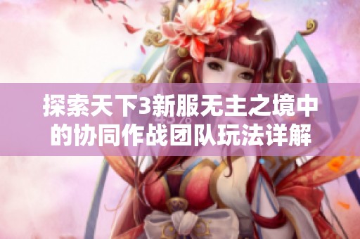 探索天下3新服無主之境中的協同作戰團隊玩法詳解